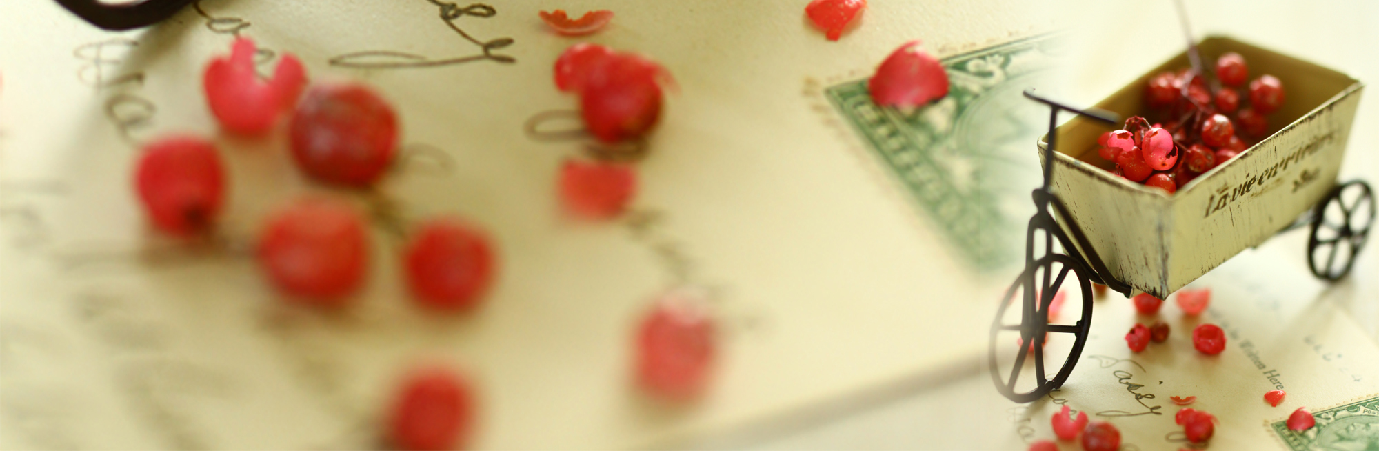 オーダーレッスン